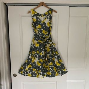 Boden Jade Dress, Size 4, Dark Sage Lemons